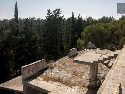 ...dal quale ammiriamo la spettacolare pineta che ci accerchia all'esterno